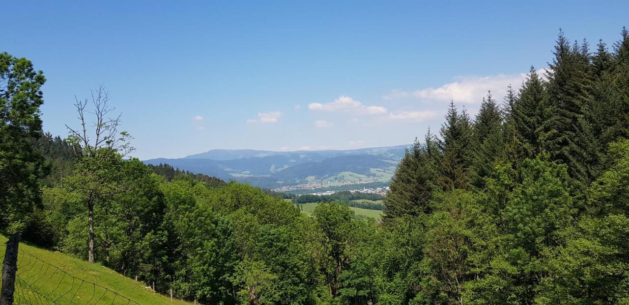 Gasthaus Sternen Post 奥贝里德 外观 照片