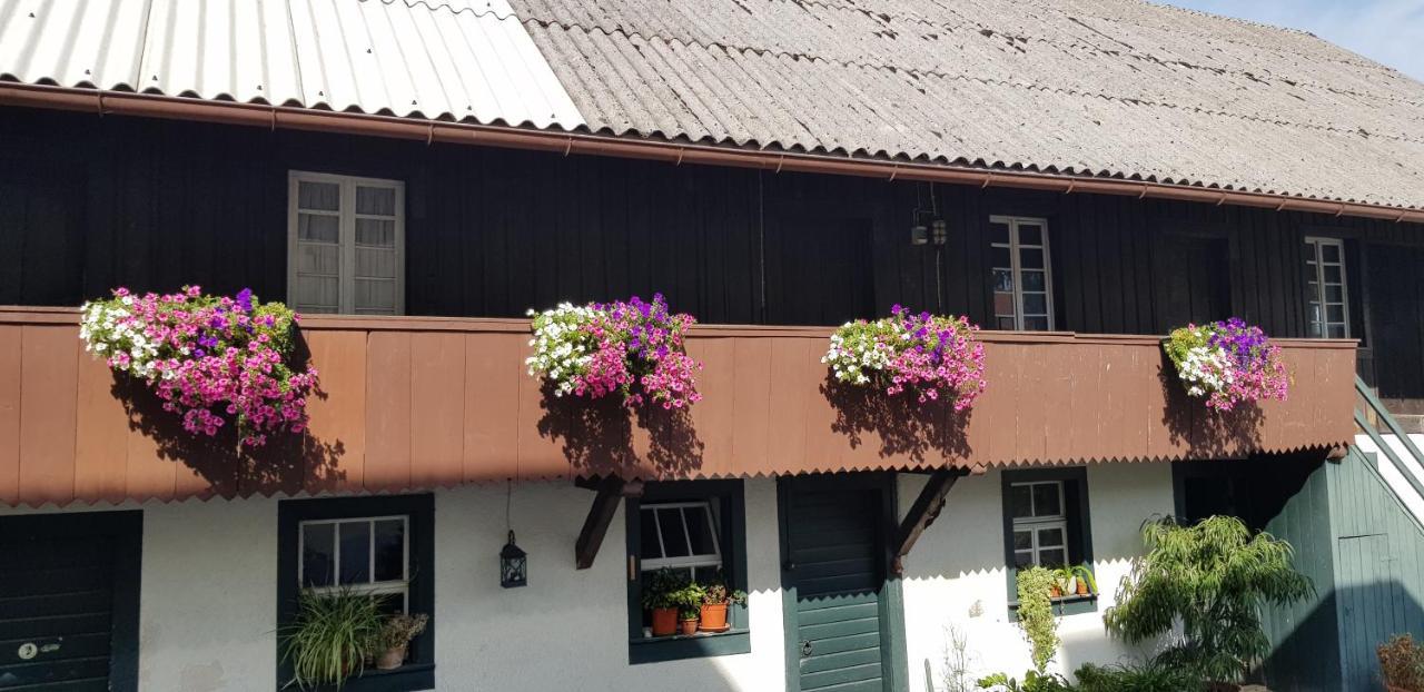 Gasthaus Sternen Post 奥贝里德 外观 照片